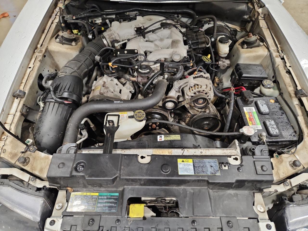 2003 Ford Mustang VIN: 1FAFP44493F334187 Lot: 69043735