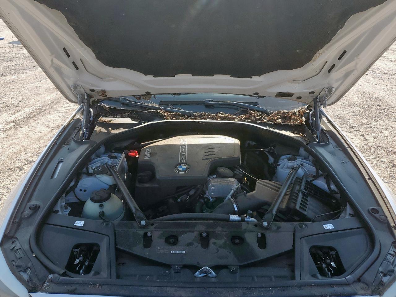 2013 BMW 528 I VIN: WBAXG5C53DD231789 Lot: 69496755