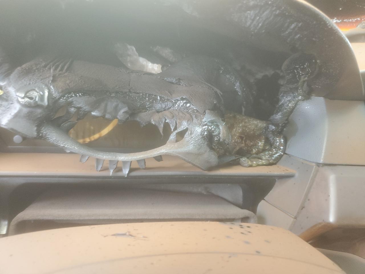 2007 BMW 530 Xi VIN: WBANF73537CU27408 Lot: 68779215