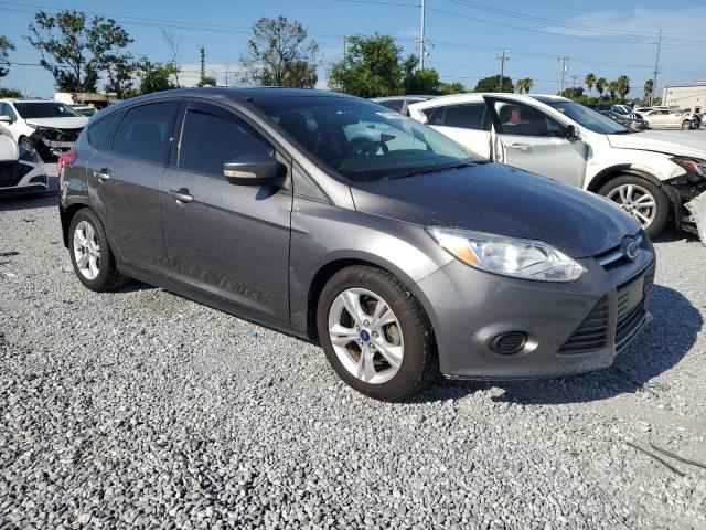 Hatchbacks FORD FOCUS 2014 Gray