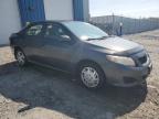2009 TOYOTA COROLLA BASE   for sale at Copart NS - HALIFAX