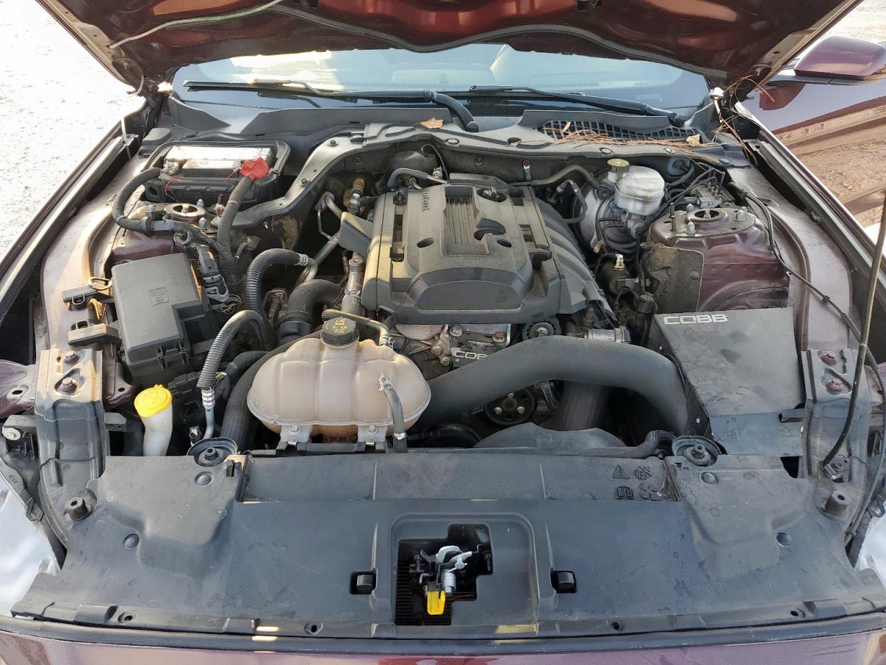 2018 Ford Mustang VIN: 1FA6P8TH7J5185597 Lot: 67118245