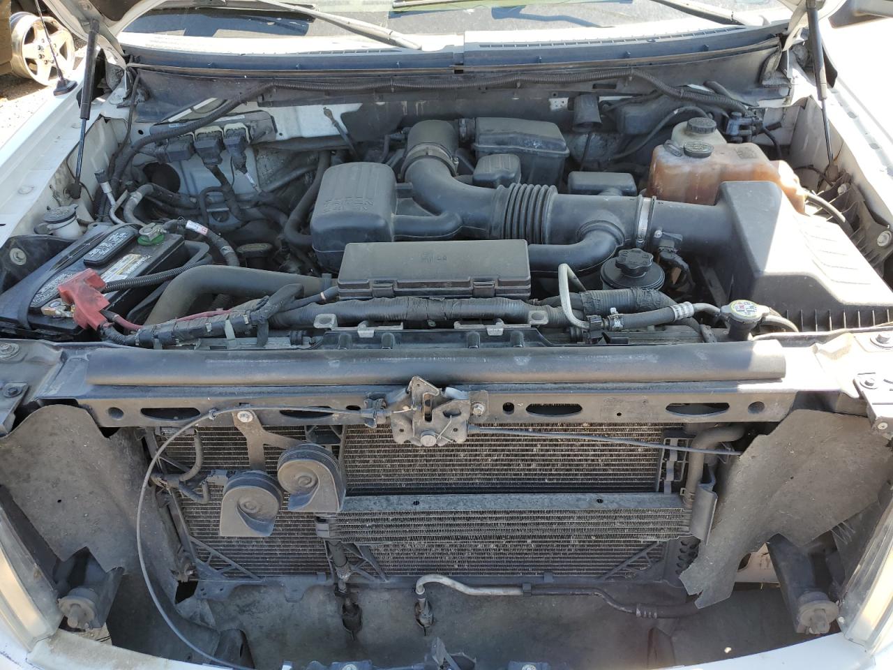 2010 Ford F150 Supercrew VIN: 1FTFW1EV3AKC01450 Lot: 70056805