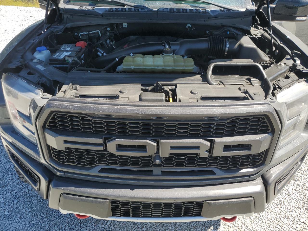 2020 Ford F150 Raptor VIN: 1FTFW1RG4LFA34085 Lot: 67720475