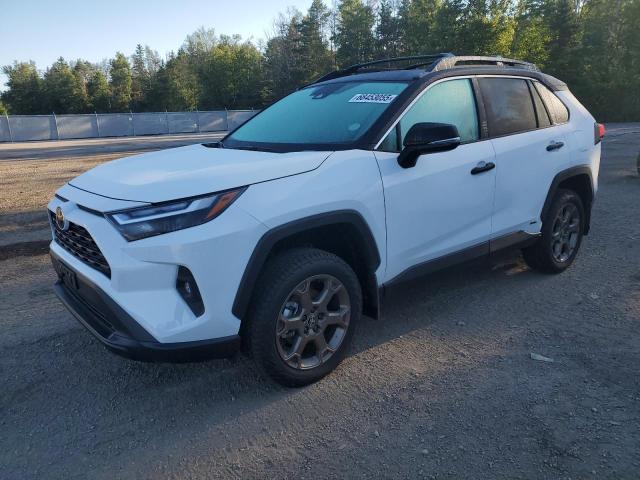 2025 TOYOTA RAV4 XLE   for sale at Copart ON - COOKSTOWN