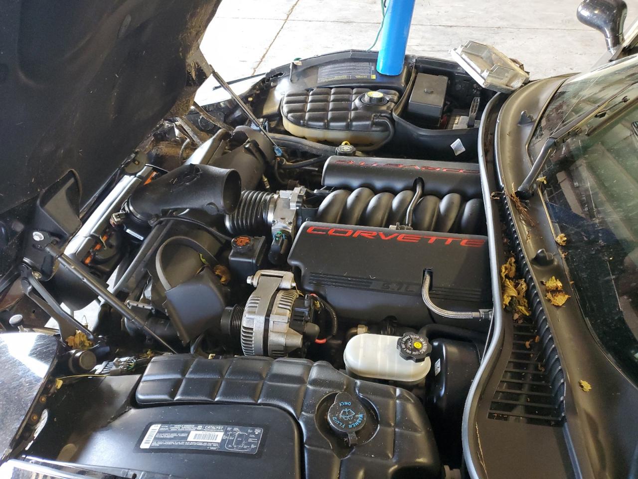 2001 Chevrolet Corvette VIN: 1G1YY32G115115923 Lot: 70494695