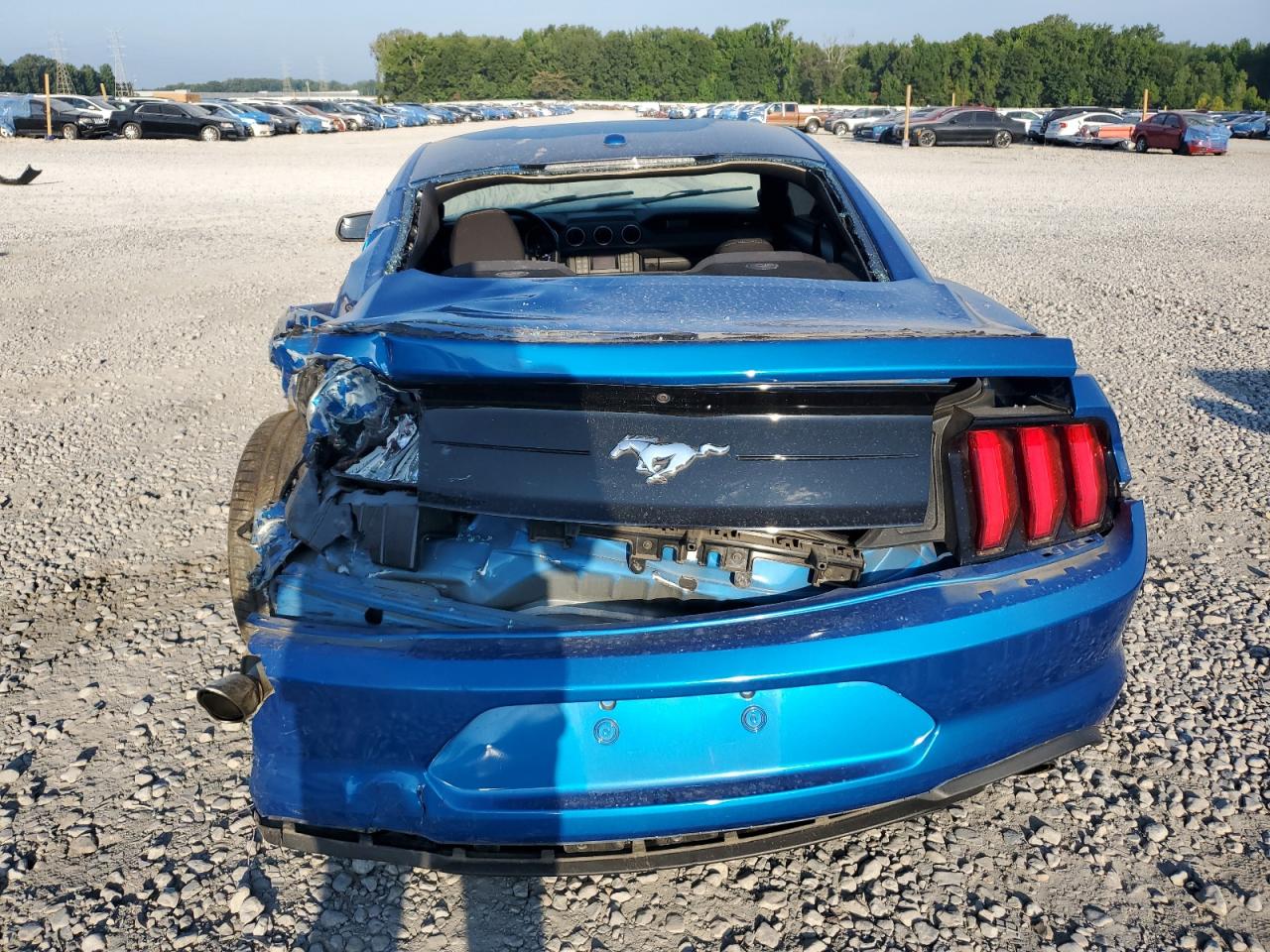 2019 Ford Mustang VIN: 1FA6P8TH7K5200150 Lot: 71195375