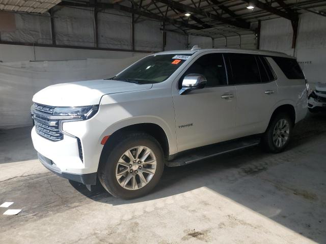 CHEVROLET TAHOE K150 2024