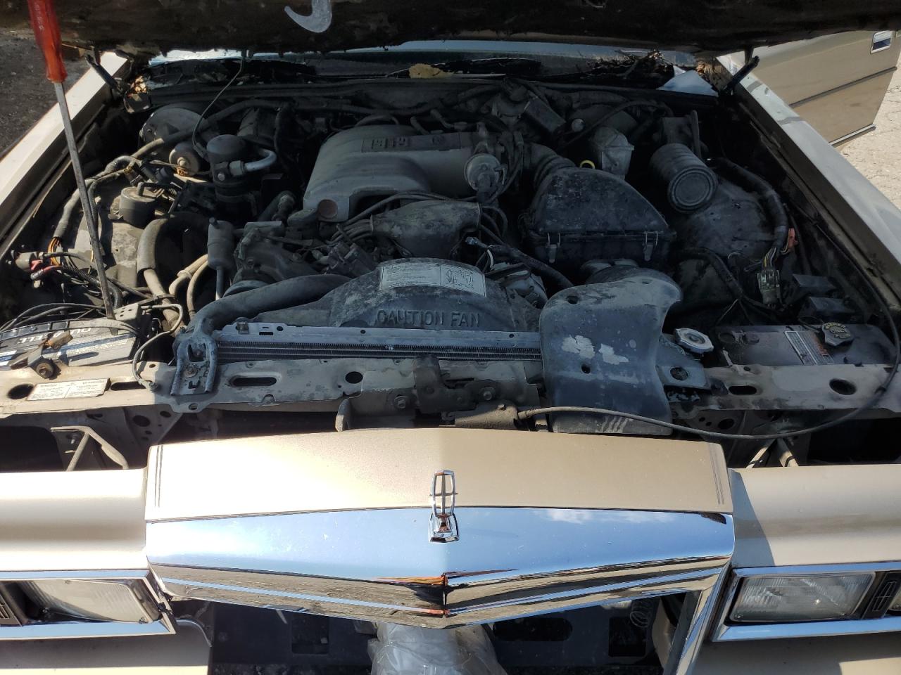 1989 Lincoln Town Car VIN: 1LNBM81F9KY605567 Lot: 67747295