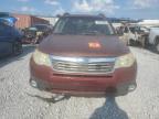 2009 SUBARU FORESTER 2.5X LIMITED   à vendre chez Copart AL - BIRMINGHAM