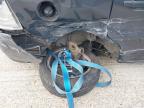 2013 VAUXHALL ZAFIRA DES for sale at Copart SANDWICH