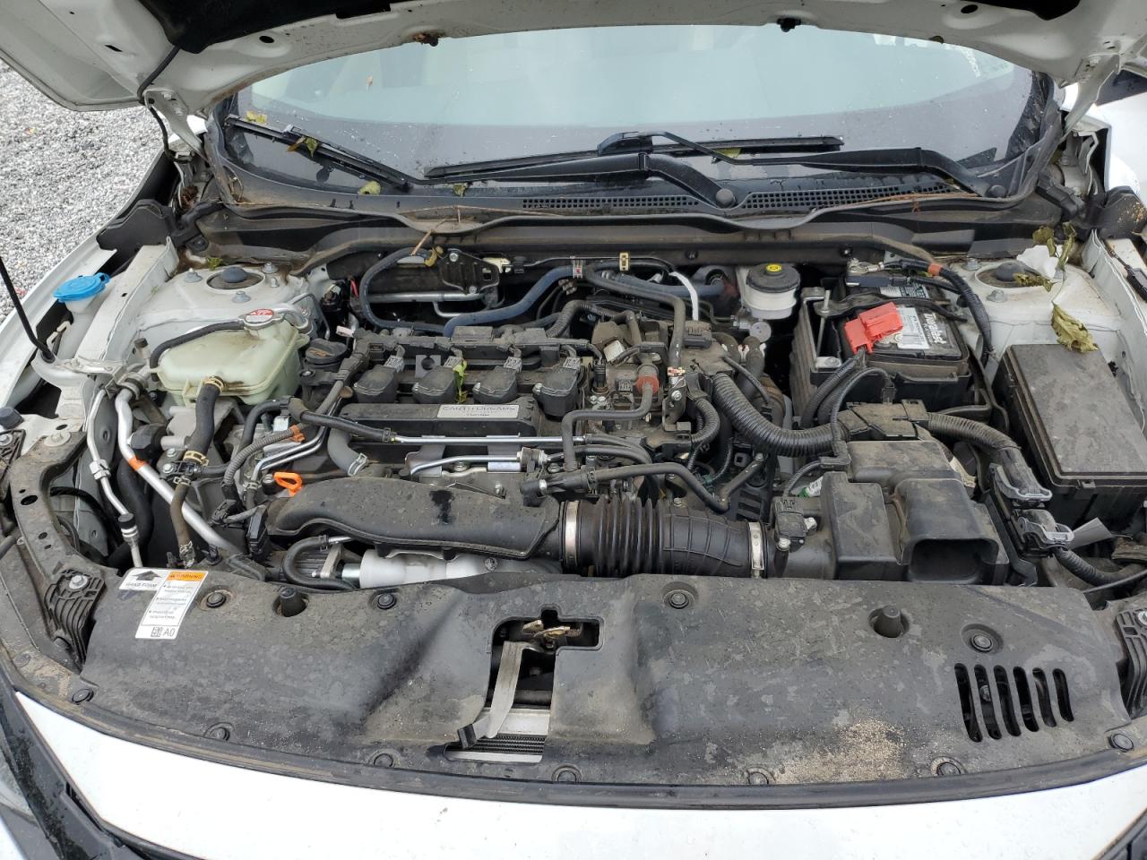 2019 Honda Civic Exl VIN: 2HGFC1F72KH650931 Lot: 84025555