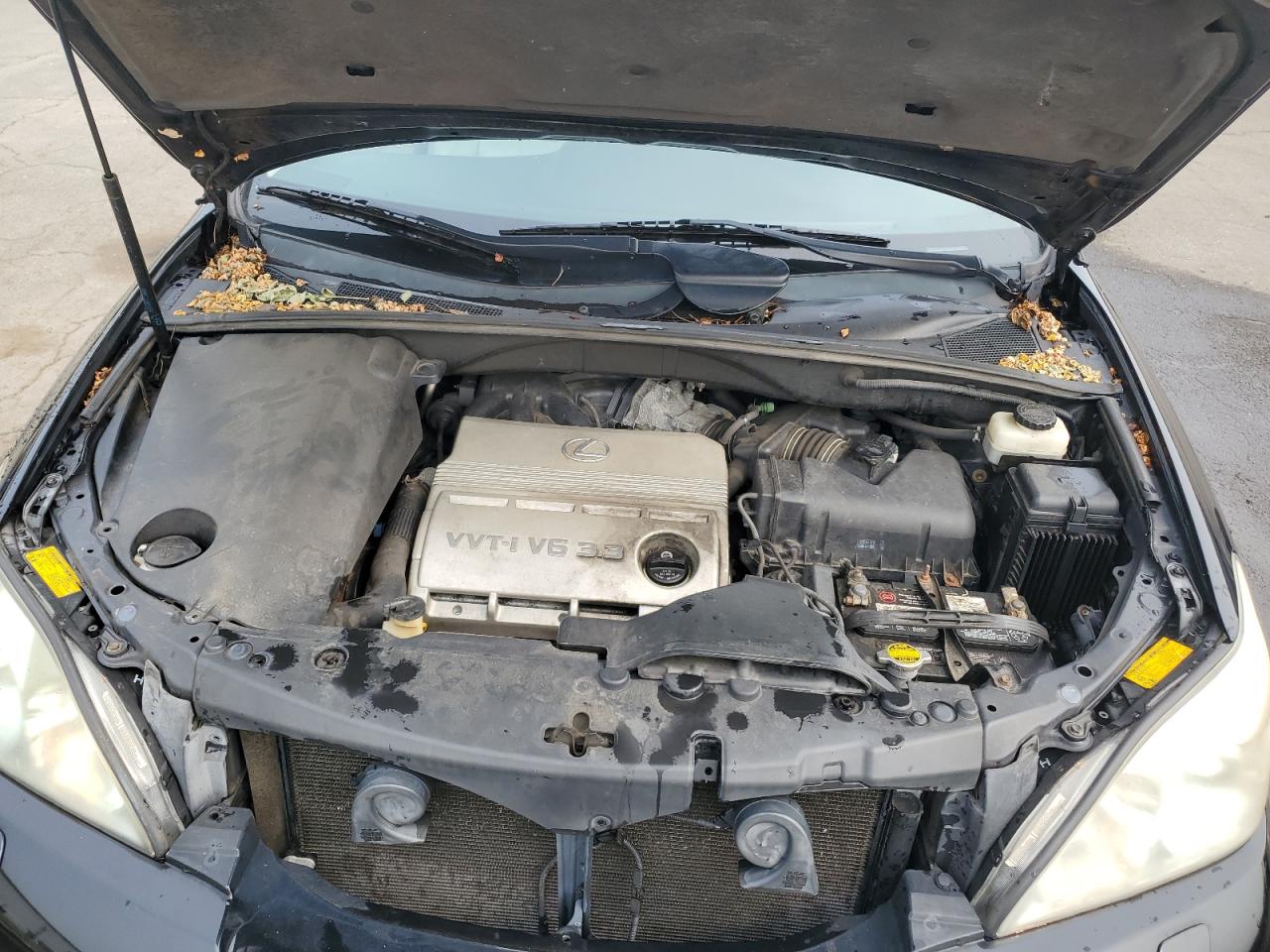 2004 Lexus Rx 330 VIN: 2T2HA31U44C007835 Lot: 67572145