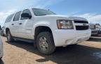 2013 CHEVROLET SUBURBAN K1500 LS   à vendre chez Copart AB - EDMONTON