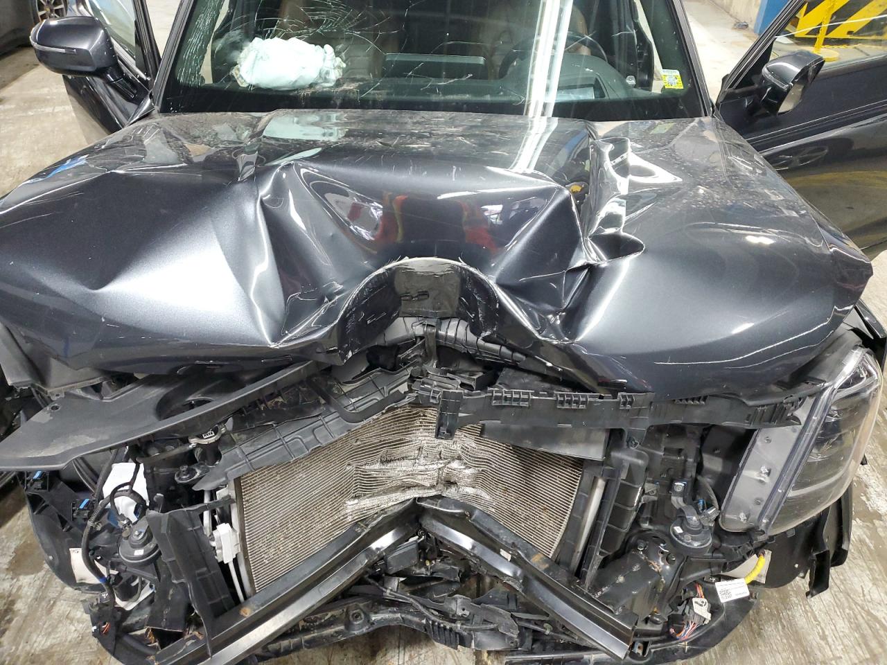 2022 Kia Telluride Sx VIN: 5XYP5DHC7NG287344 Lot: 67871005