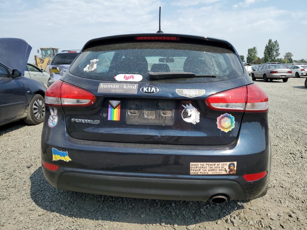 2017 Kia Forte Lx VIN: KNAFK5A80H5691404 Lot: 70051665