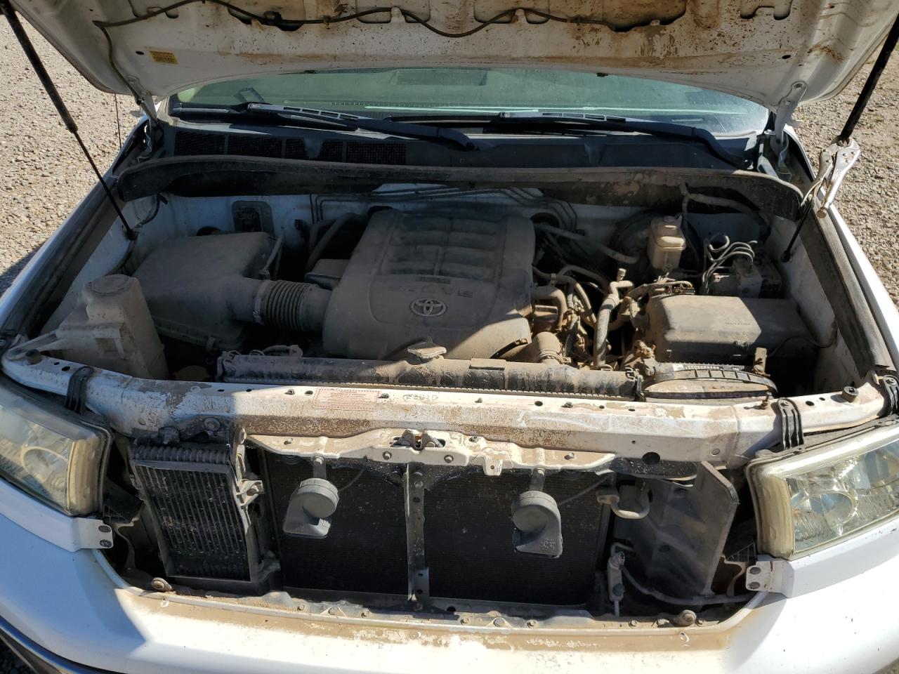 2008 Toyota Tundra Crewmax VIN: 5TFDV54198X056458 Lot: 70442855