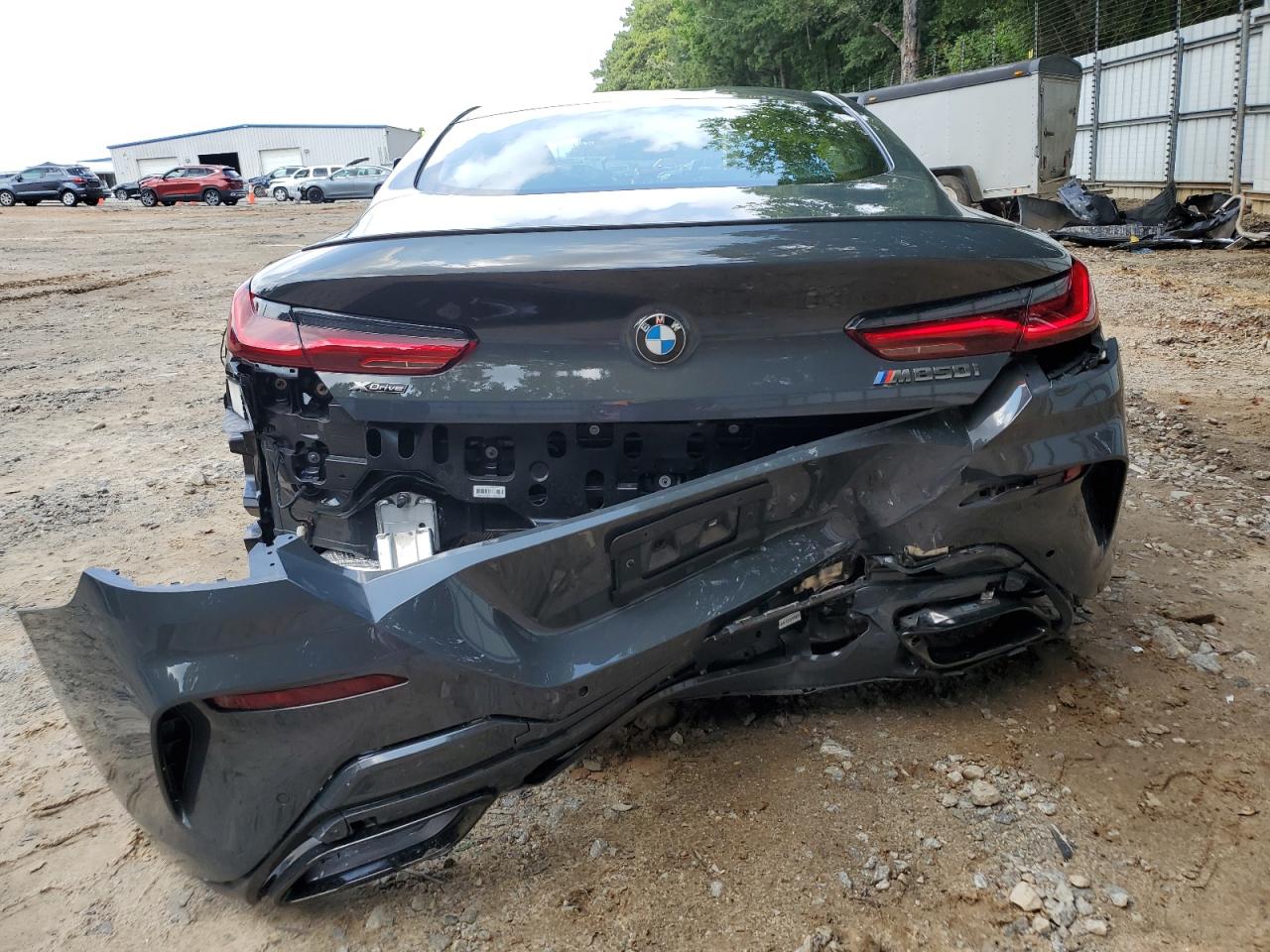 2022 BMW M850Xi VIN: WBABC4C00NCJ85396 Lot: 69748065