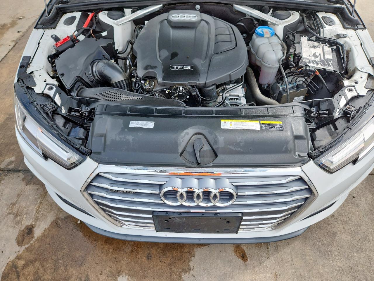 2019 Audi A4 Premium Plus VIN: WAUENAF49KA037596 Lot: 70231505