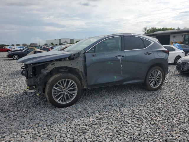  LEXUS NX 350H 2023 Серый