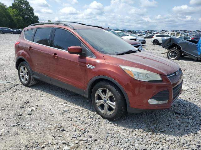  FORD ESCAPE 2014 Brązowy