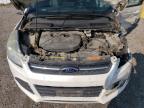 2013 FORD ESCAPE SE   à vendre chez Copart ON - LONDON