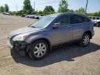 2009 HONDA CR-V EXL   for sale at Copart QC - MONTREAL