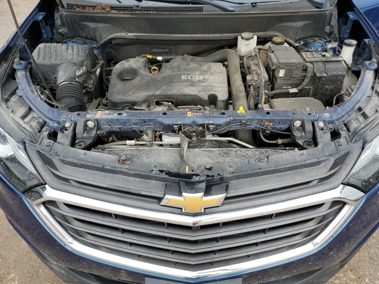 2019 Chevrolet Equinox Lt VIN: 3GNAXJEV2KL391174 Lot: 68444175