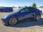 2023 TESLA MODEL Y    for sale at Copart ON - LONDON