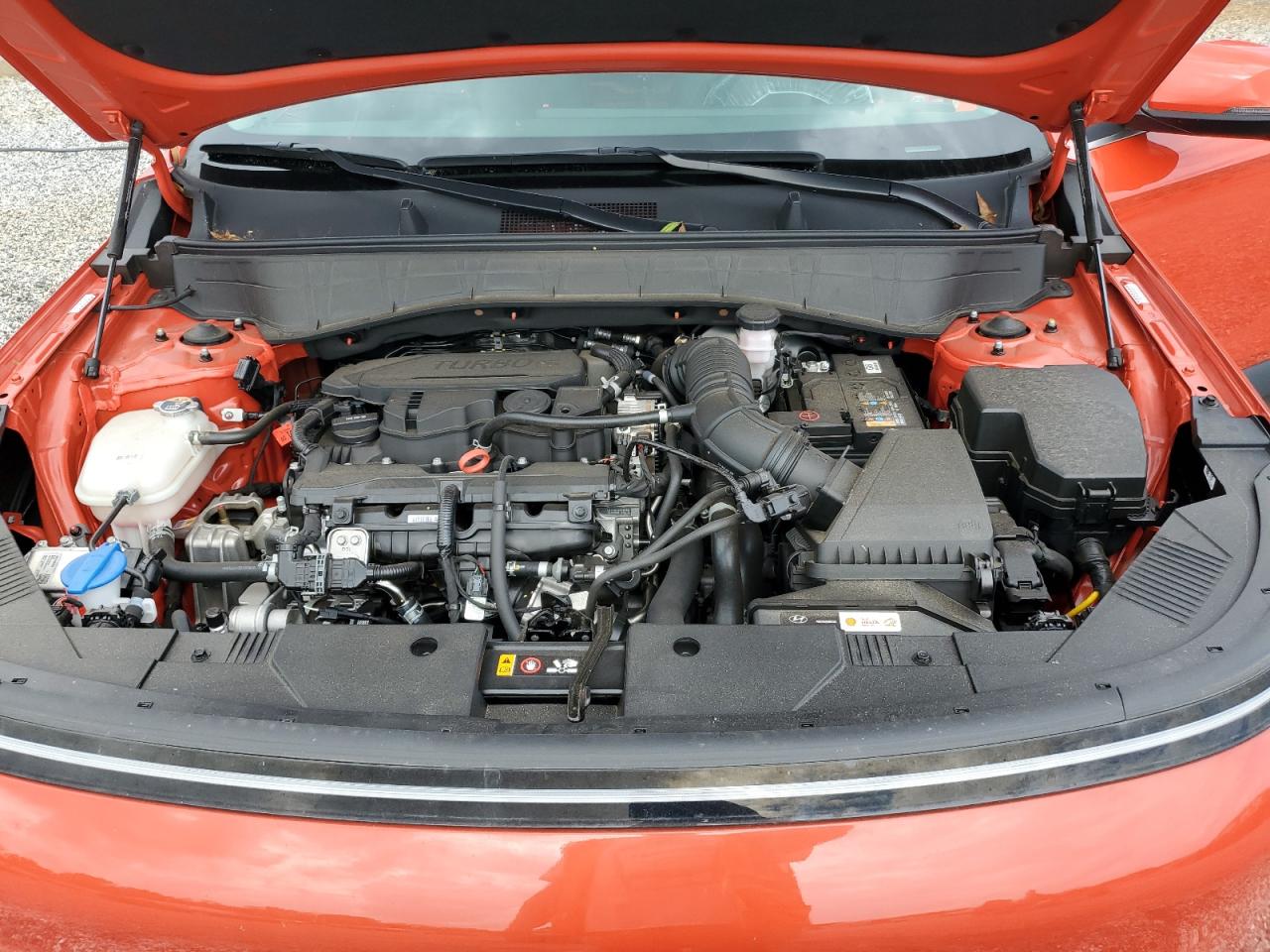 2024 Hyundai Kona Limited VIN: KM8HE3A36RU157516 Lot: 68768535