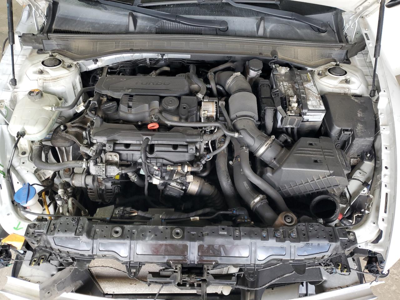 2020 Hyundai Sonata Sel Plus VIN: 5NPEJ4J23LH028571 Lot: 69042235