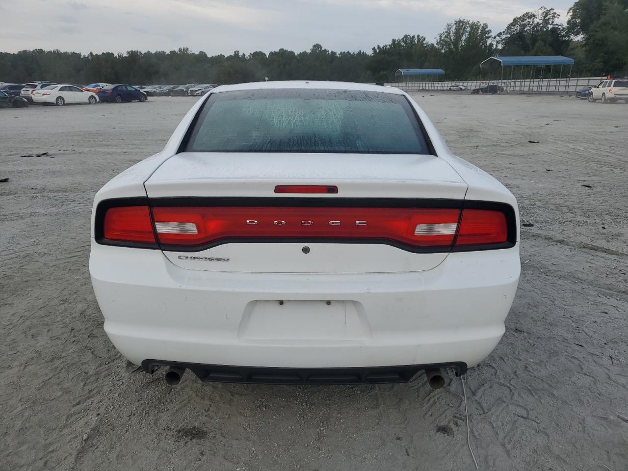 2014 Dodge Charger Police VIN: 2C3CDXAG4EH349224 Lot: 70471095