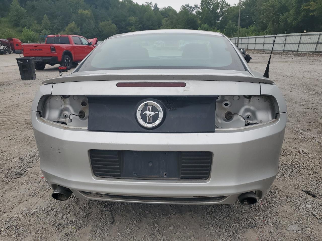 2013 Ford Mustang VIN: 1ZVBP8AM3D5254134 Lot: 69618685