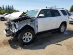 2019 TOYOTA 4RUNNER SR5/SR5 PREMIUM   for sale at Copart ON - TORONTO