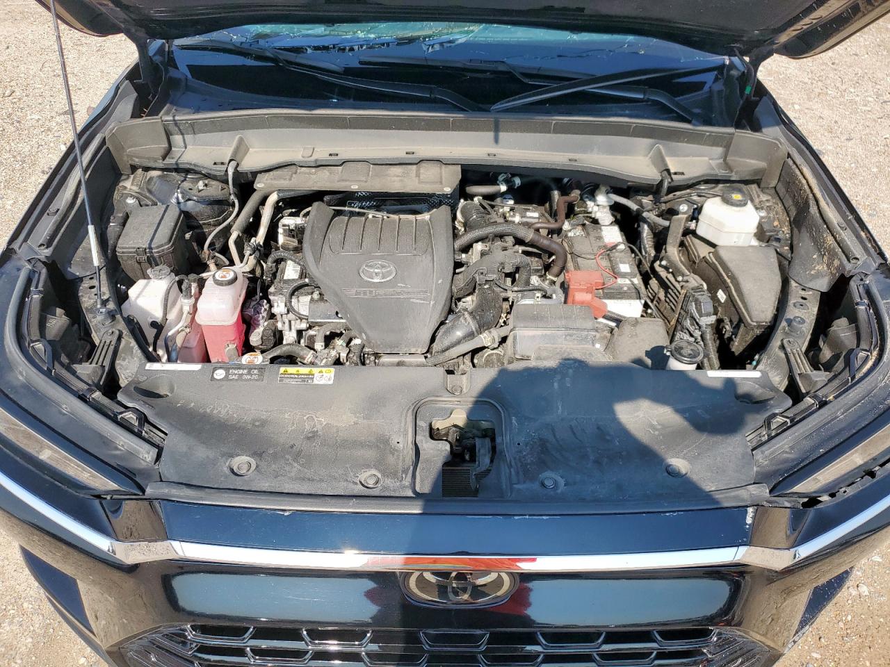 2024 Toyota Grand Highlander Xle VIN: 5TDAAAA50RS019448 Lot: 69521665