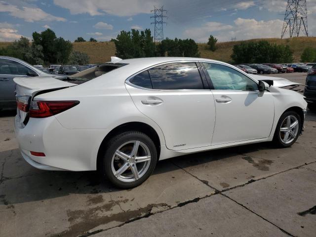  LEXUS ES300 2017 Белы