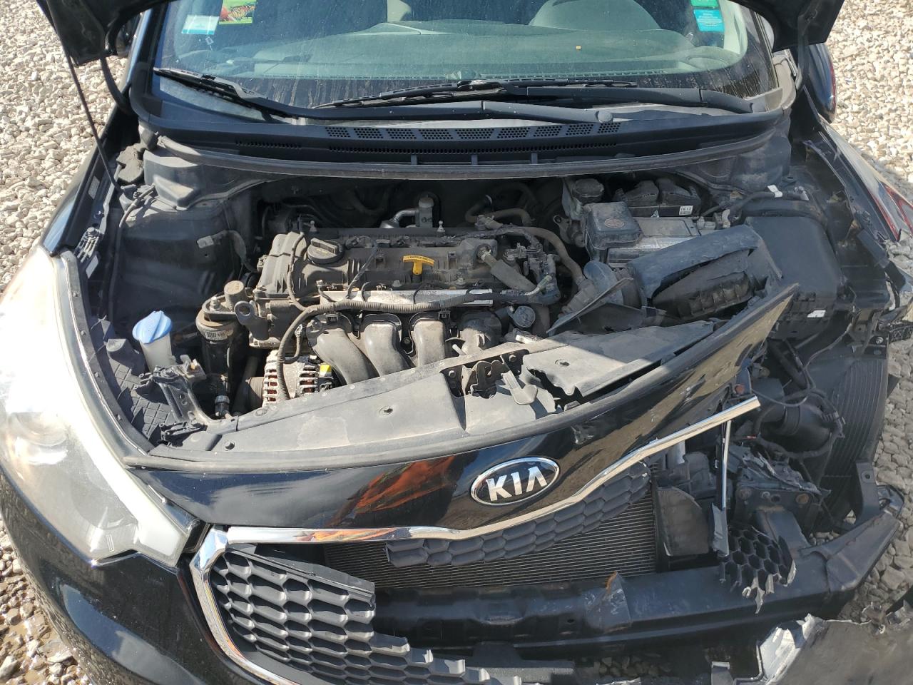 2016 Kia Forte Lx VIN: KNAFK4A69G5575299 Lot: 69382865