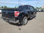 2011 FORD F150 SUPER CAB   à vendre chez Copart ON - OTTAWA