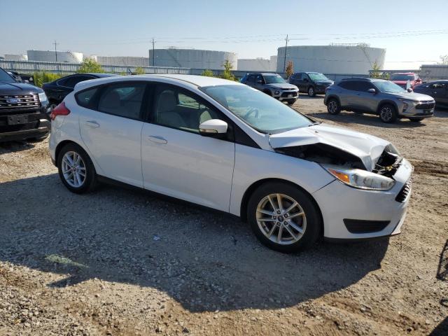  FORD FOCUS 2016 Белы