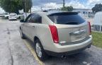 2010 CADILLAC SRX LUXURY COLLECTION   for sale at Copart FL - MIAMI NORTH