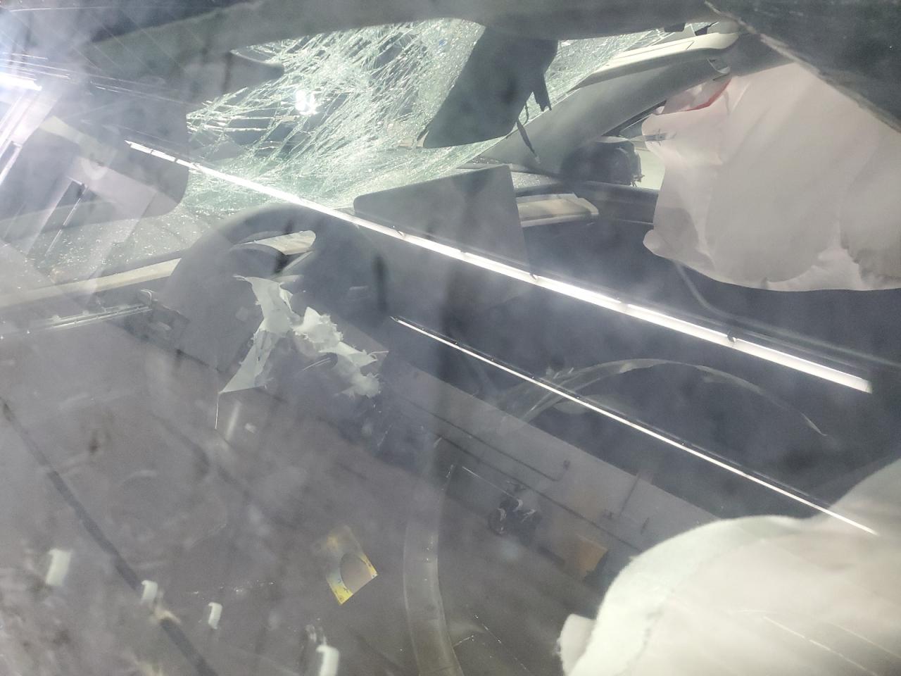 2023 Tesla Model Y VIN: 7SAYGDEE1PF694769 Lot: 68747105