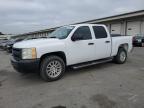 2010 CHEVROLET SILVERADO C1500   for sale at Copart KY - LOUISVILLE