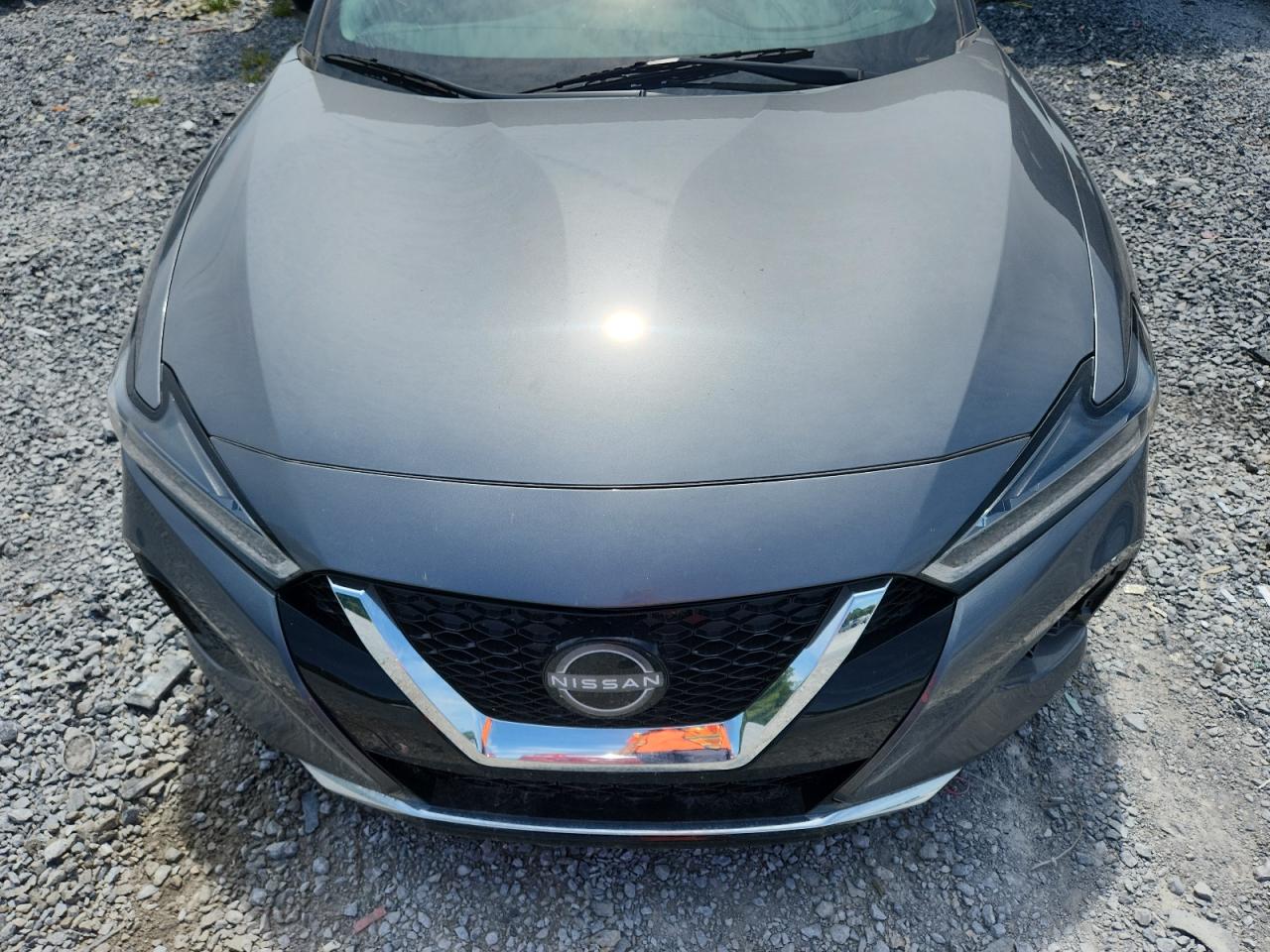 2023 Nissan Maxima Sv VIN: 1N4AA6CV5PC509902 Lot: 70340865