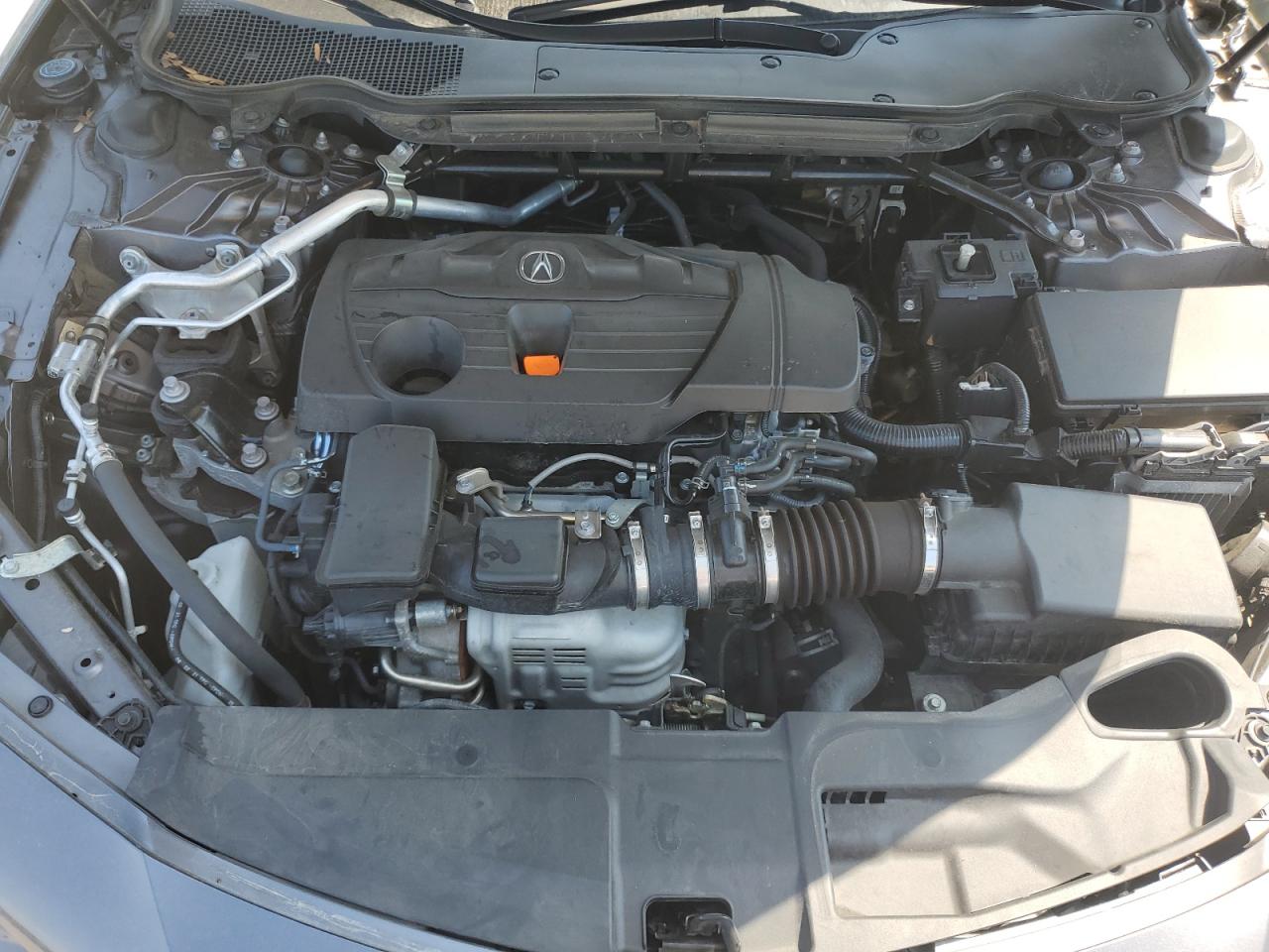 2023 Acura Tlx VIN: 19UUB5F39PA007366 Lot: 67136795