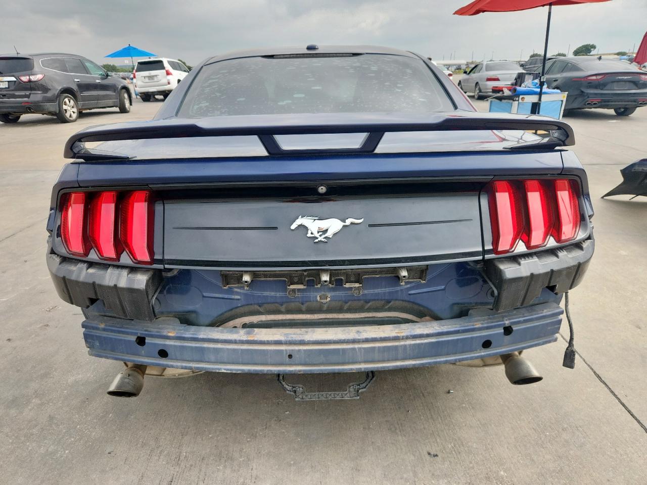 2019 Ford Mustang VIN: 1FA6P8TH2K5192684 Lot: 71164985