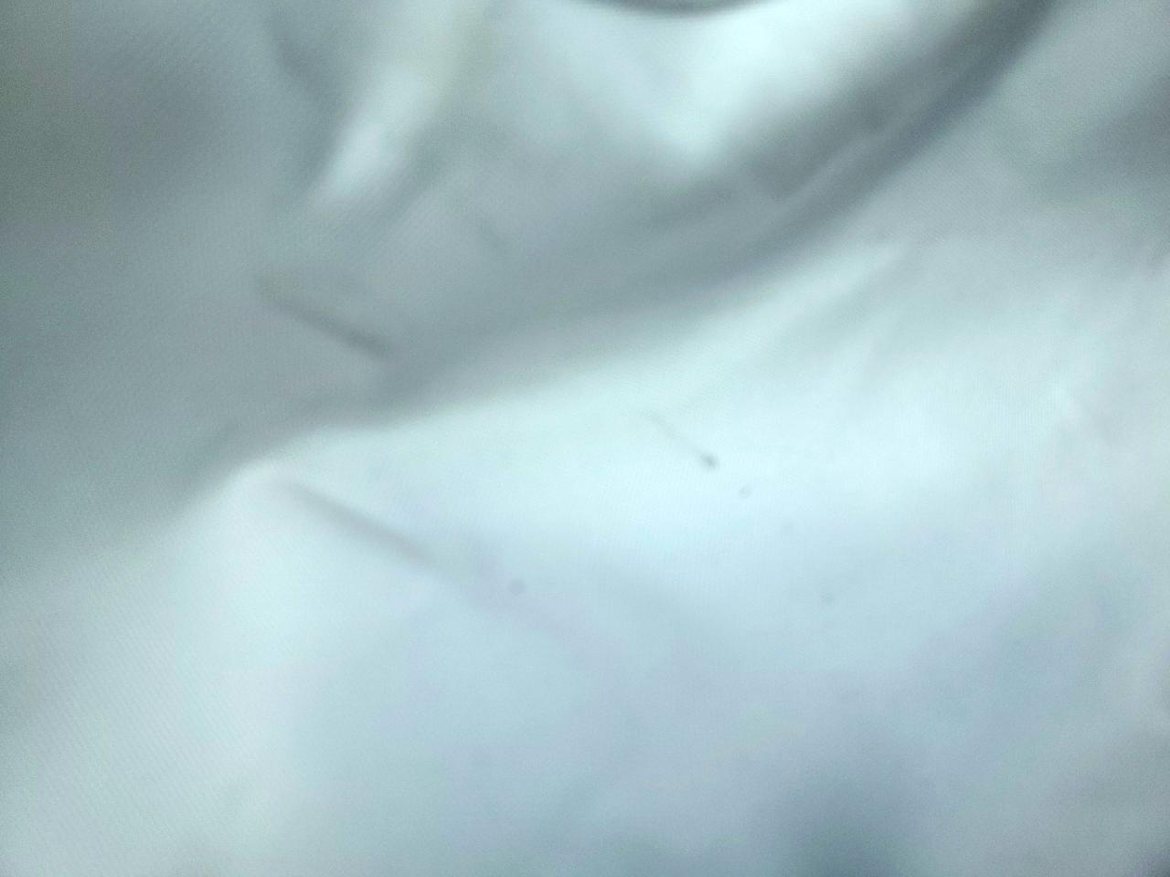 2024 Ford F450 Super Duty VIN: 1FT8W4DT5REC01292 Lot: 69298605