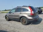 2011 HONDA CR-V EXL   for sale at Copart ON - OTTAWA
