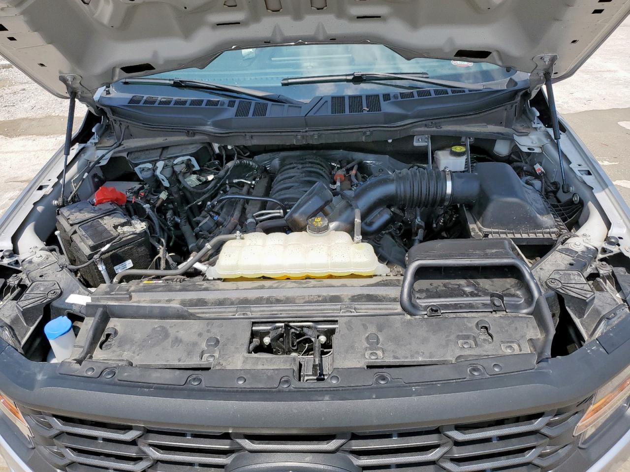 2024 Ford F150 Xl VIN: 1FTMF1L58RKD38342 Lot: 70769535