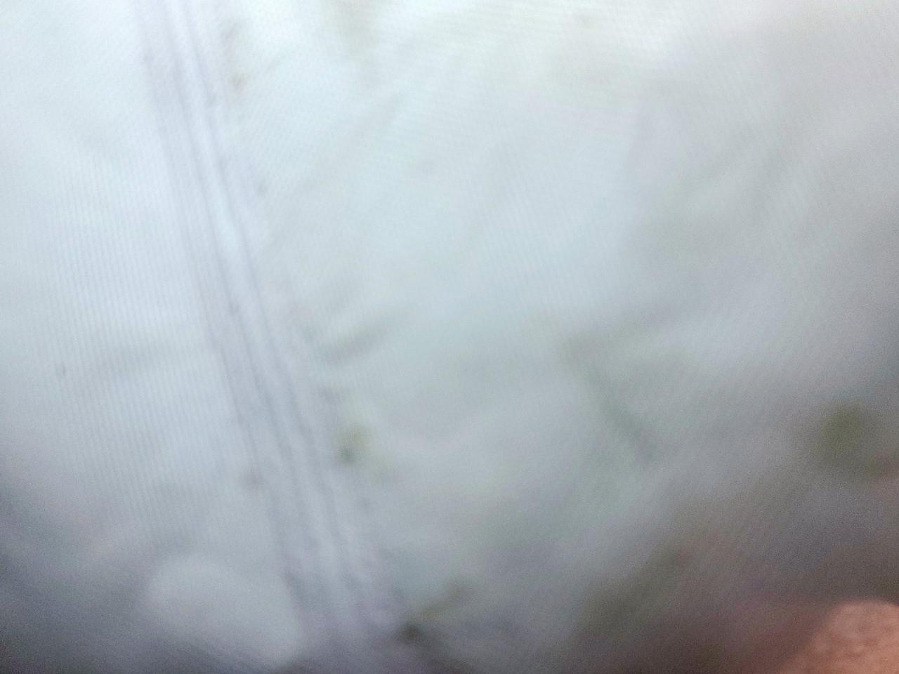 2024 Ford F450 Super Duty VIN: 1FT8W4DT5REC01292 Lot: 69298605