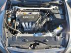 2005 HONDA ACCORD EX   à vendre chez Copart CA - RANCHO CUCAMONGA